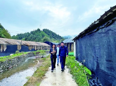民有所呼，我有所應