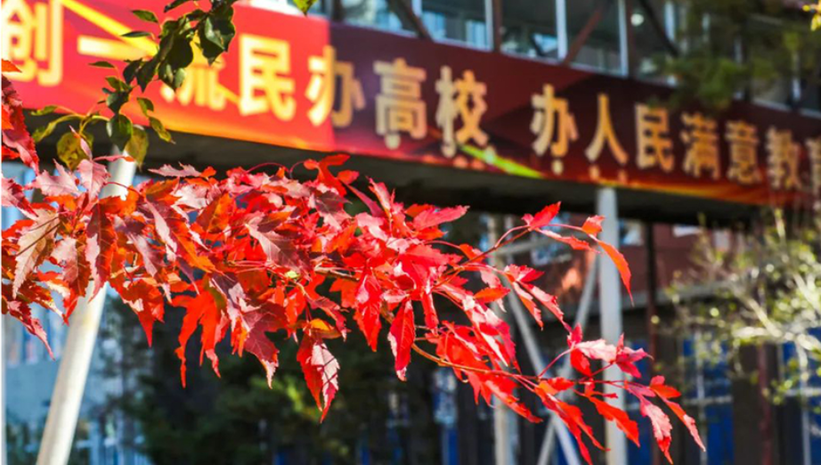 秋葉校園 | @長春大學(xué)旅游學(xué)院，秋季相冊請查收~