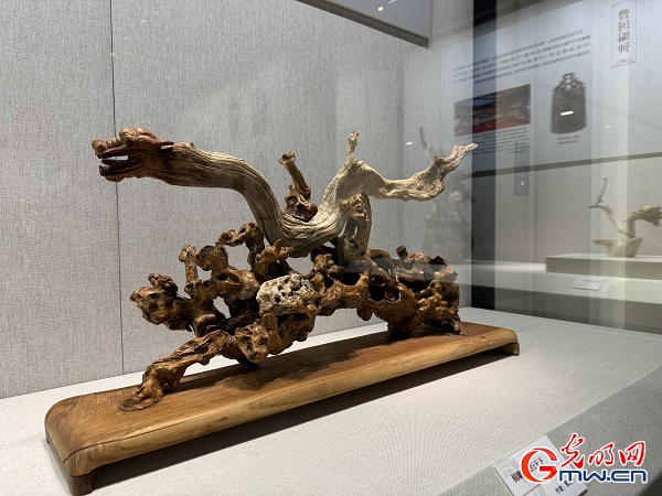 新春走基層｜春節里的博物館，“龍”味十足！