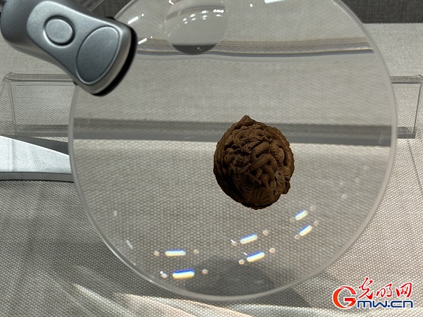 新春走基層｜春節里的博物館，“龍”味十足！